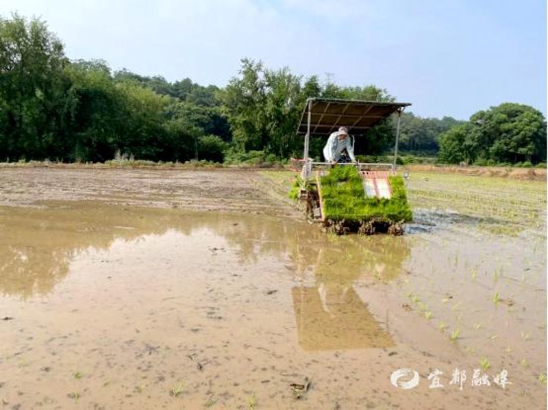齿圈加工行业动态：转型升级之路